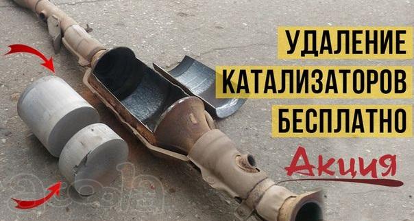 Бесплатное удаление катализатора и прошивка евро-2 в Пензе.